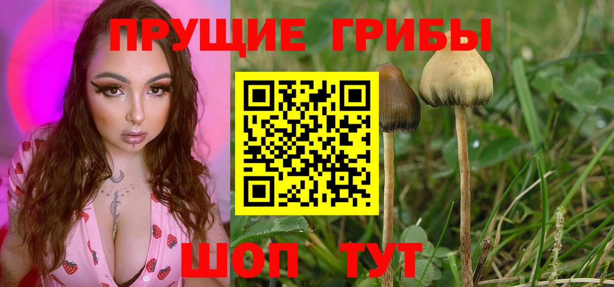 Галлюциногенные грибы мицелий Чита